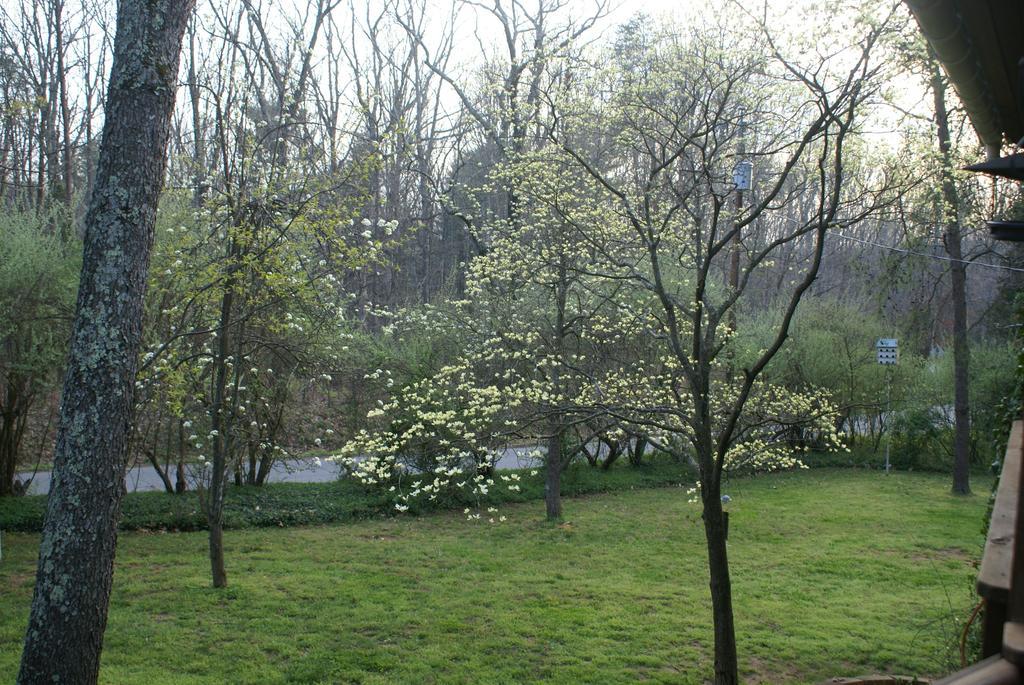 Ebenezer House Bed & Breakfast Burtonsville Luaran gambar